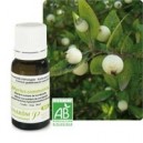 PRANAROM Huile essentielle Myrte verte à cinéole BIO