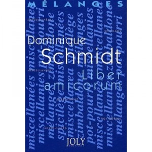 Melanges En L'honneur De Dominique Schmidt - Franck Auckenthaler