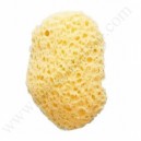 BEBISOL Eponge naturelle - Blister de 1 eponge
