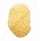 BEBISOL Eponge naturelle - Blister de 1 eponge