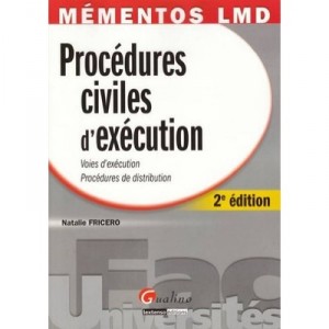 Civil enforcement procedures (2nd Edition) - Natalie Fricero