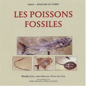 Memoire Du Temps , Les Poissons Fossiles - Mireille Gayet , Anne Belouze , Pierre Abi Saad