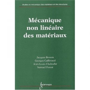 Mecanique Non Lineaire Des Materiaux - Besson