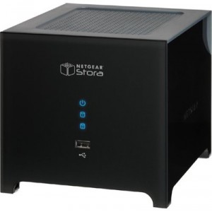 NetGear (MS2110-100PES) 1000 GB Network Storage Server