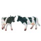 Bruder Cow (2 Designs)