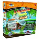BSM Sciences - Ws/22 - Educatif - Science Nature - Royaume des Fourmis (Bsm)