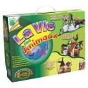 Creative Toys - Ct 5256 - Jeu Educatif - Eveil - La Vie des Animaux (Bsm)