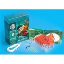 Buki Toys Buki - 2382 - Science Nature - Alarme