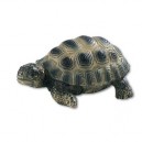 Bullyland Bébé tortue de terre