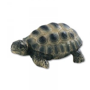 Bullyland Bébé tortue de terre