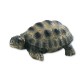 Bullyland Bébé tortue de terre
