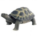 Bullyland - Tortue de terre - Soft Play