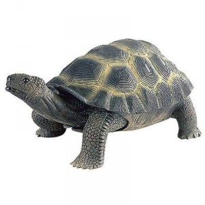 Bullyland - Tortue de terre - Soft Play