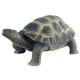 Bullyland - Tortue de terre - Soft Play