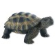 Bullyland Tortue de terre