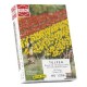 Hornby France - Busch - 1206 - Circuit - Train - Tulipes