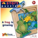 Chelona - Story puzzle - Grenouilles dans la mare