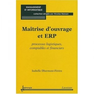 Maitrise D'ouvrage Et Erp , Processus Logistiques, Comptables Et Financiers - Isabelle Dherment-ferere