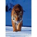 Clementoni - 30270 - Puzzle - 500 Pièces - High Quality - Tigre