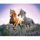 Clementoni - 302871 - Puzzle - Free Horses - 500 pièces
