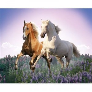 Clementoni - 302871 - Puzzle - Free Horses - 500 pieces