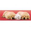 Clementoni-30394-Puzzle 500 pc-A little sleep