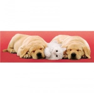 Clementoni-30394-Puzzle 500 pc-A little sleep