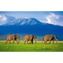 Clementoni - 31954 - Puzzle - 1500 Pièces - High Quality - Elephants