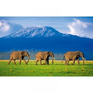 Clementoni - 31954 - Puzzle - 1500 Pieces - High Quality - Elephants