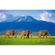 Clementoni - 31954 - Puzzle - 1500 Pièces - High Quality - Elephants