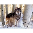 Clementoni - 31955 - Puzzle - 1500 Pièces - High Quality - Hiver