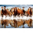 Clementoni - 319725 - Puzzle - Horses in the water - 1500 pièces