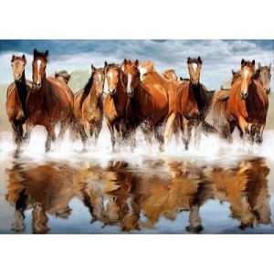 Clementoni - 319725 - Puzzle - Horses in the water - 1500 pièces