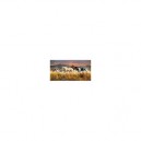 Clementoni - 38006 - Puzzle - 13 200 Pièces - High Quality - Band Of Thunder