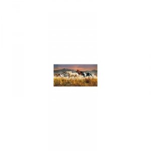 Clementoni - 38006 - Puzzle - 13 200 Parts - High Quality - Band Of Thunder