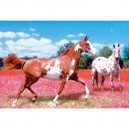 Clementoni - 39016 - Puzzle - 1000 Pièces - High Quality - Chevaux