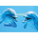 Clementoni - 39020 - Puzzle - 1000 Pièces - High Quality - Dauphins