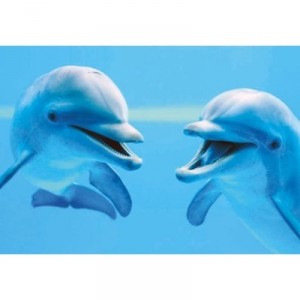 Clementoni - 39020 - Puzzle - 1000 Pièces - High Quality - Dauphins