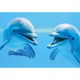 Clementoni - 39020 - Puzzle - 1000 Pièces - High Quality - Dauphins