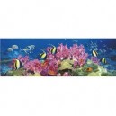 Clementoni - 390632 - Puzzle - Coral Reef - Panorama - 1000 pièces