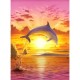 Clementoni - 390717 - Puzzle - Sunset Dolphin - 1000 pièces