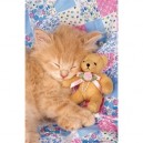 Clementoni - 390724 - Puzzle - Kitty and Bear - 1000 pièces