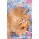 Clementoni - 390724 - Puzzle - Kitty and Bear - 1000 pièces