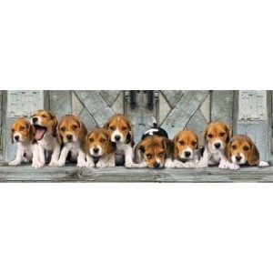 Clementoni - 390762 - Puzzle - Beagles - Panorama - 1000 pièces