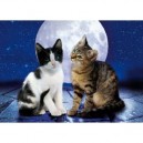 Clementoni - 390861 - Puzzle - Cats and The Moonlight - 1000 pièces