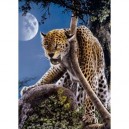 Clementoni - 390946 - Puzzle - Single Cheetah - 1000 pièces