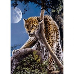 Clementoni - 390946 - Puzzle - Single Cheetah - 1000 pieces