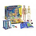 Clementoni 69731 - Galileo - Jeu éducatif "Der menschliche Körper" - Langue: allemande (Import Alle...