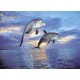 Clementoni - Puzzle - Delfini
