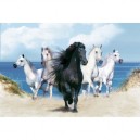 Clementoni - Puzzle - The Dream Horses
